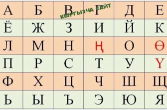 https://kyrgyzcha.site/?p=47570&preview=true