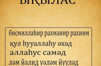 https://kyrgyzcha.site/?p=47577&preview=true
