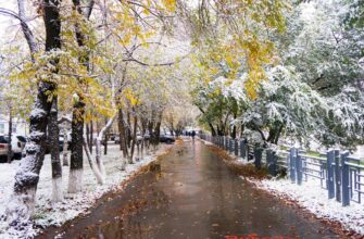 https://kyrgyzcha.site/birinchi-kaarda-18/