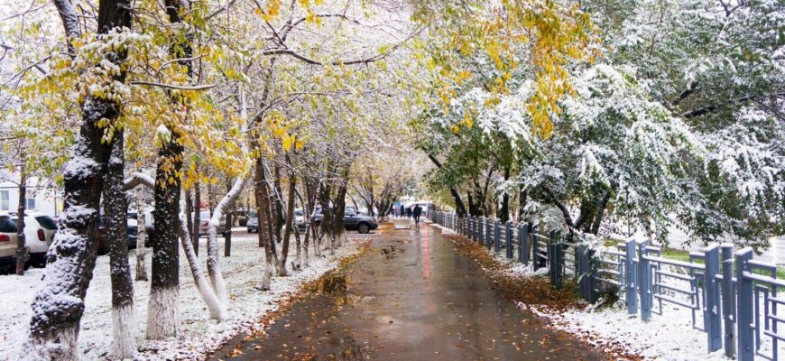 https://kyrgyzcha.site/birinchi-kaarda-18/