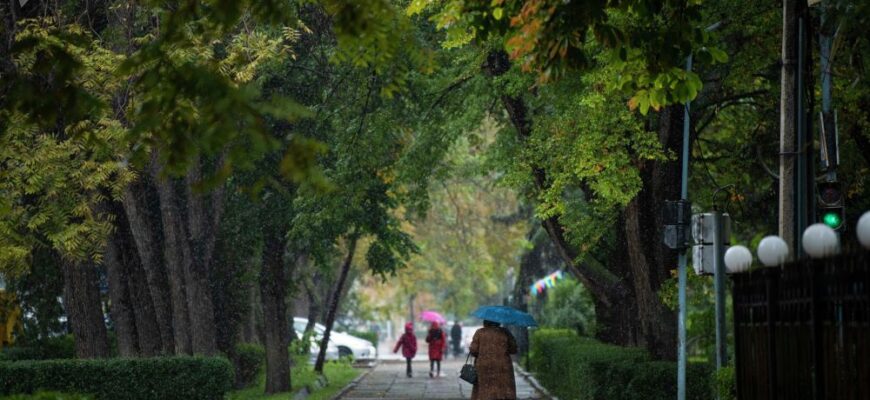 https://kyrgyzcha.site/?p=9519&preview=true