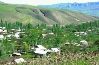 https://kyrgyzcha.site/?p=8477&preview=true