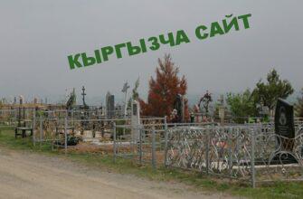 https://kyrgyzcha.site/?p=36430&preview=true