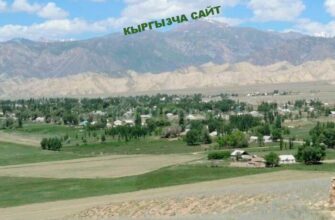 https://kyrgyzcha.site/?p=37450&preview=true
