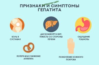 https://kyrgyzcha.site/?p=37531&preview=true