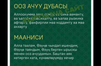 https://kyrgyzcha.site/?p=36413&preview=true