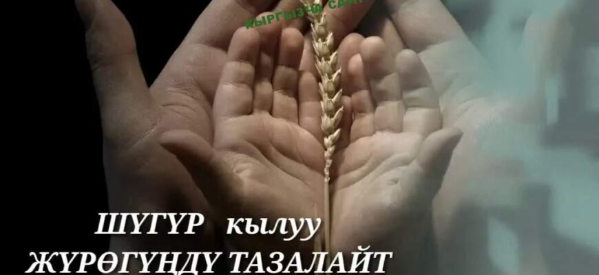 https://kyrgyzcha.site/?p=40455&preview=true