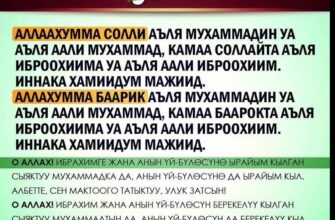 https://kyrgyzcha.site/?p=41227&preview=true
