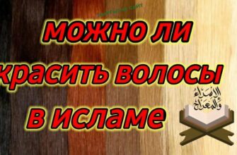 https://kyrgyzcha.site/?p=41063&preview=true