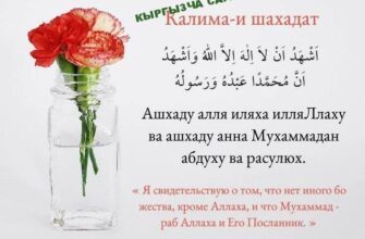 https://kyrgyzcha.site/?p=42124&preview=true