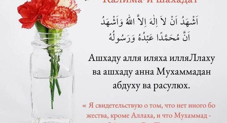 https://kyrgyzcha.site/?p=42124&preview=true