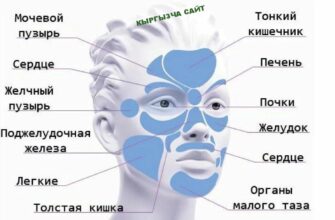 https://kyrgyzcha.site/?p=41852&preview=true