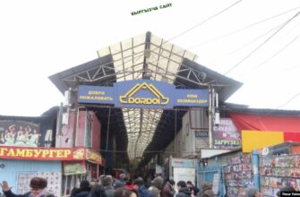 https://kyrgyzcha.site/?p=41451&preview=true
