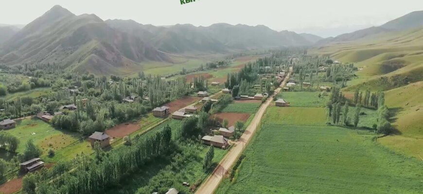 https://kyrgyzcha.site/?p=41646&preview=true