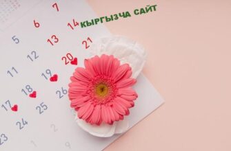 https://kyrgyzcha.site/?p=41088&preview=true