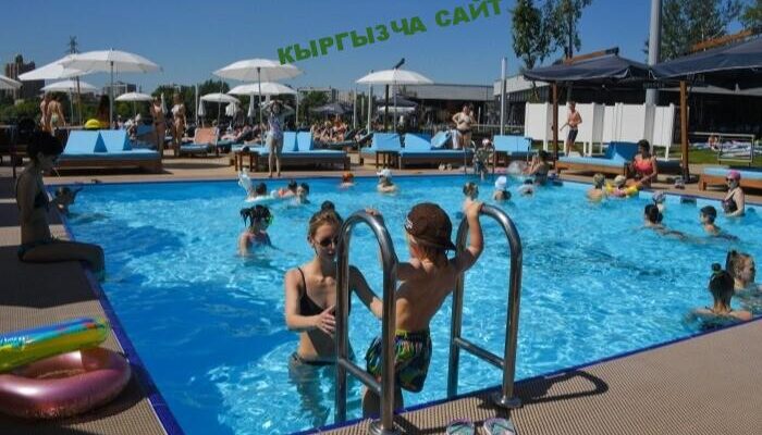 https://kyrgyzcha.site/?p=42551&preview=true