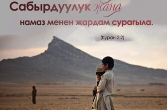https://kyrgyzcha.site/?p=43556&preview=true