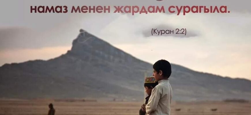 https://kyrgyzcha.site/?p=43556&preview=true