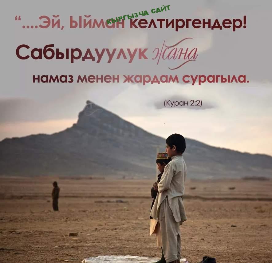 https://kyrgyzcha.site/?p=43556&preview=true