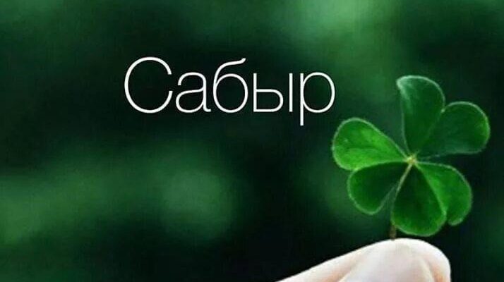 https://kyrgyzcha.site/?p=42290&preview=true