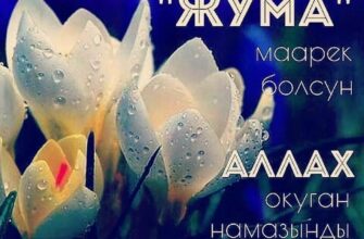 https://kyrgyzcha.site/?p=43252&preview=true