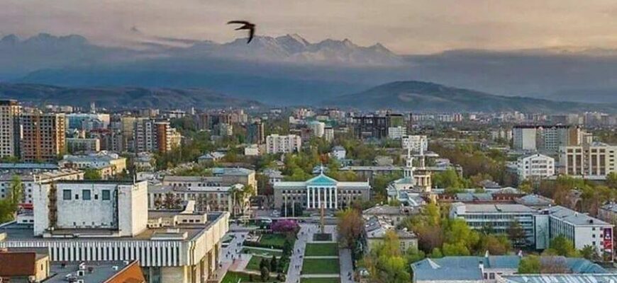 https://kyrgyzcha.site/?p=43010&preview=true