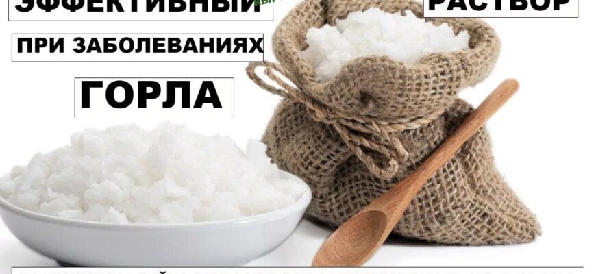 https://kyrgyzcha.site/?p=43559&preview=true