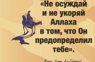 https://kyrgyzcha.site/?p=43016&preview=true