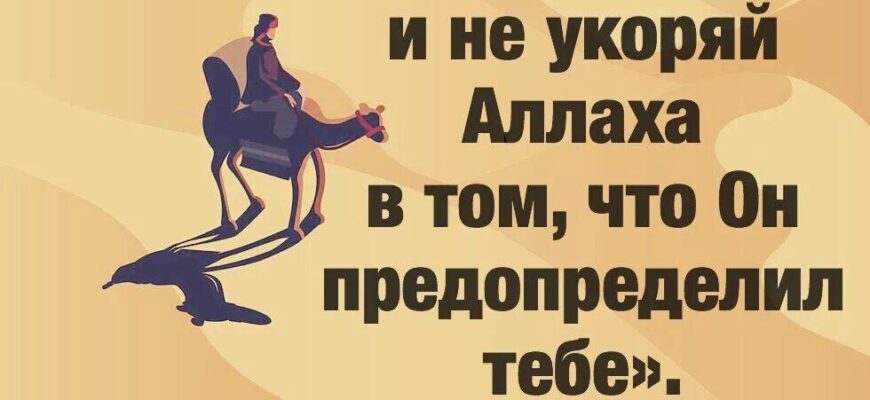 https://kyrgyzcha.site/?p=43016&preview=true