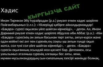 https://kyrgyzcha.site/?p=43815&preview=true