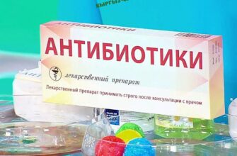 https://kyrgyzcha.site/?p=42542&preview=true