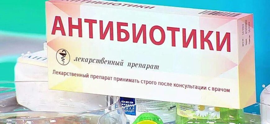 https://kyrgyzcha.site/?p=42542&preview=true