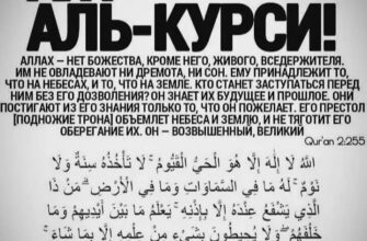 https://kyrgyzcha.site/?p=42979&preview=true