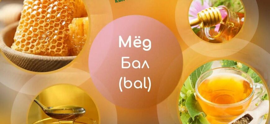https://kyrgyzcha.site/?p=42986&preview=true