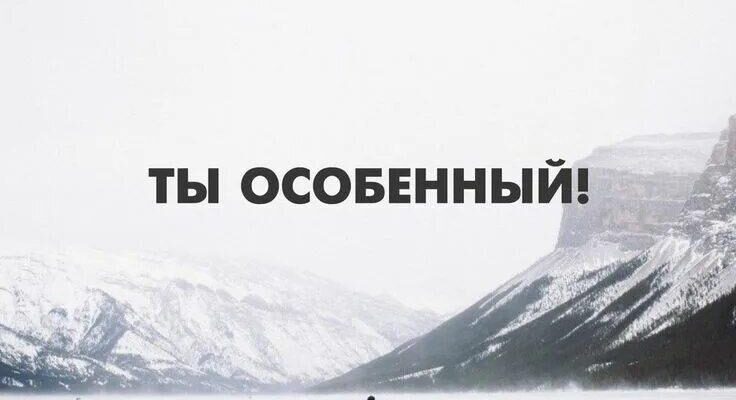 https://kyrgyzcha.site/?p=43249&preview=true