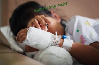 https://kyrgyzcha.site/?p=43282&preview=true