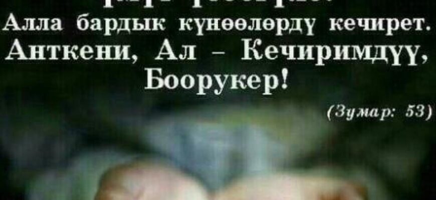 https://kyrgyzcha.site/?p=44613&preview=true
