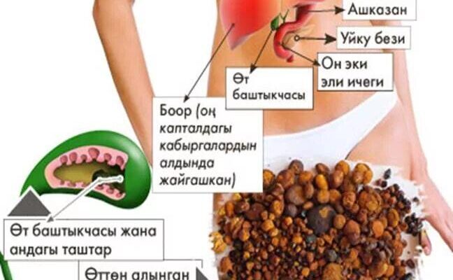 https://kyrgyzcha.site/?p=44659&preview=true
