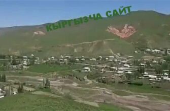 https://kyrgyzcha.site/?p=44946&preview=true
