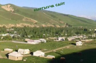 https://kyrgyzcha.site/?p=45569&preview=true