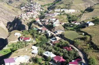 https://kyrgyzcha.site/?p=47141&preview=true