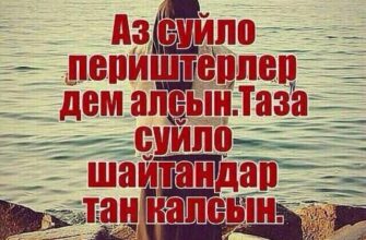 https://kyrgyzcha.site/?p=46534&preview=true
