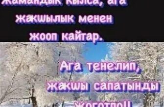 https://kyrgyzcha.site/?p=46545&preview=true