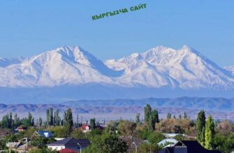 https://kyrgyzcha.site/?p=46559&preview=true