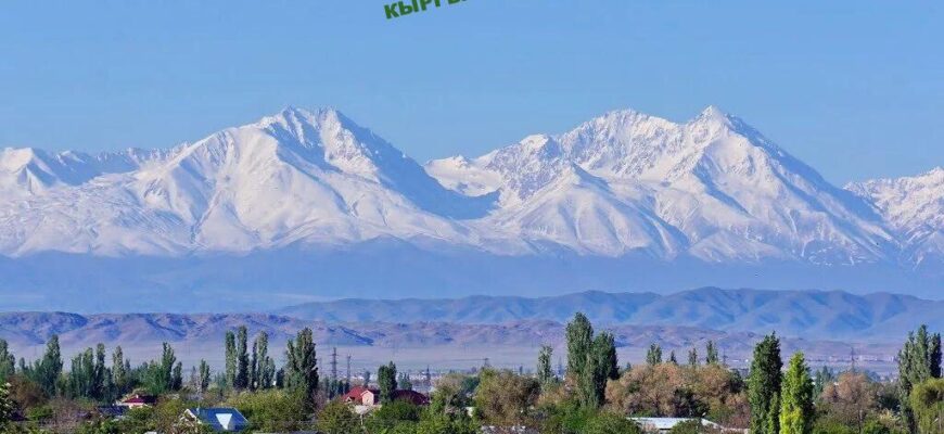 https://kyrgyzcha.site/?p=46559&preview=true