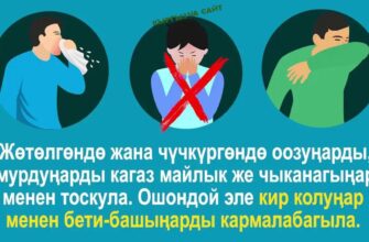https://kyrgyzcha.site/?p=46503&preview=true