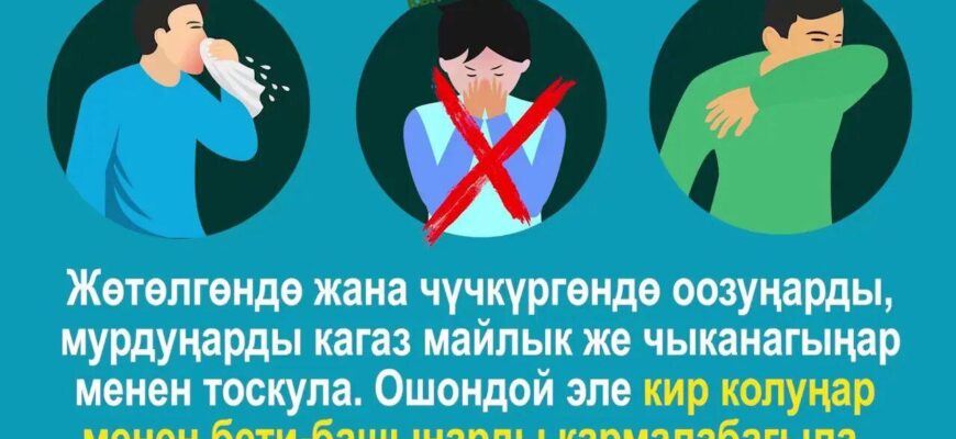 https://kyrgyzcha.site/?p=46503&preview=true