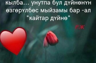 https://kyrgyzcha.site/?p=46801&preview=true