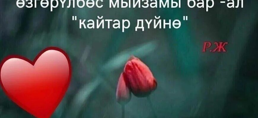 https://kyrgyzcha.site/?p=46801&preview=true
