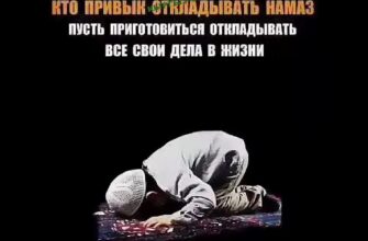 https://kyrgyzcha.site/?p=46810&preview=true